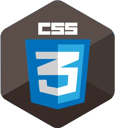 CSS3 Courses in Pune