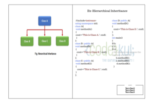 Hierarchical Inheritance