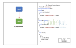 Single_Inheritance