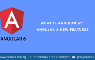 Angular 6 Feature