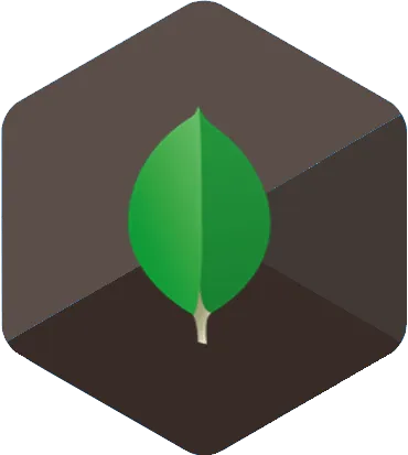 MongoDB Classes in Pune